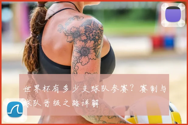 世界杯有多少支球队参赛？赛制与球队晋级之路详解